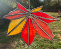 Maple Leaf