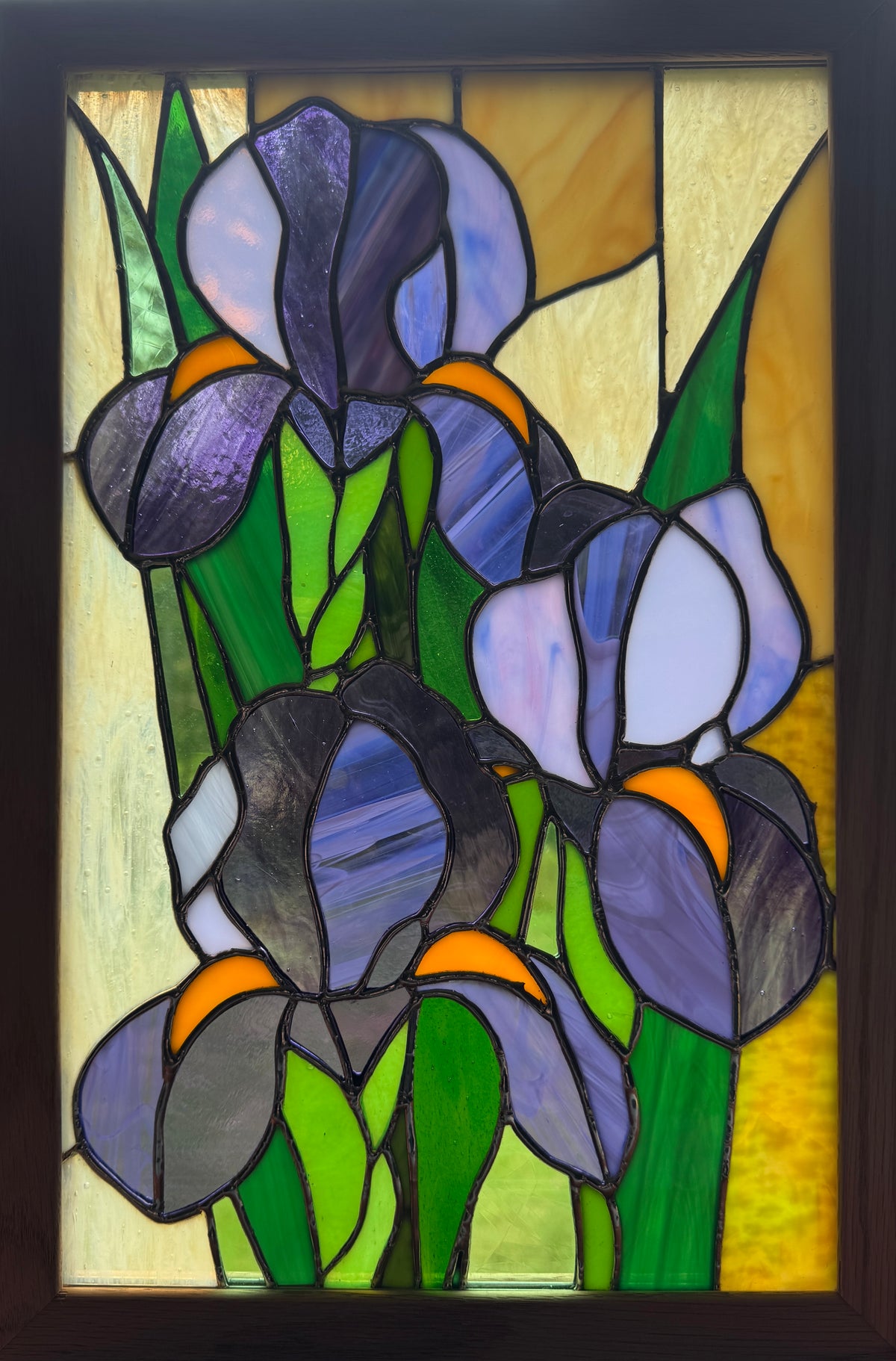 Iris