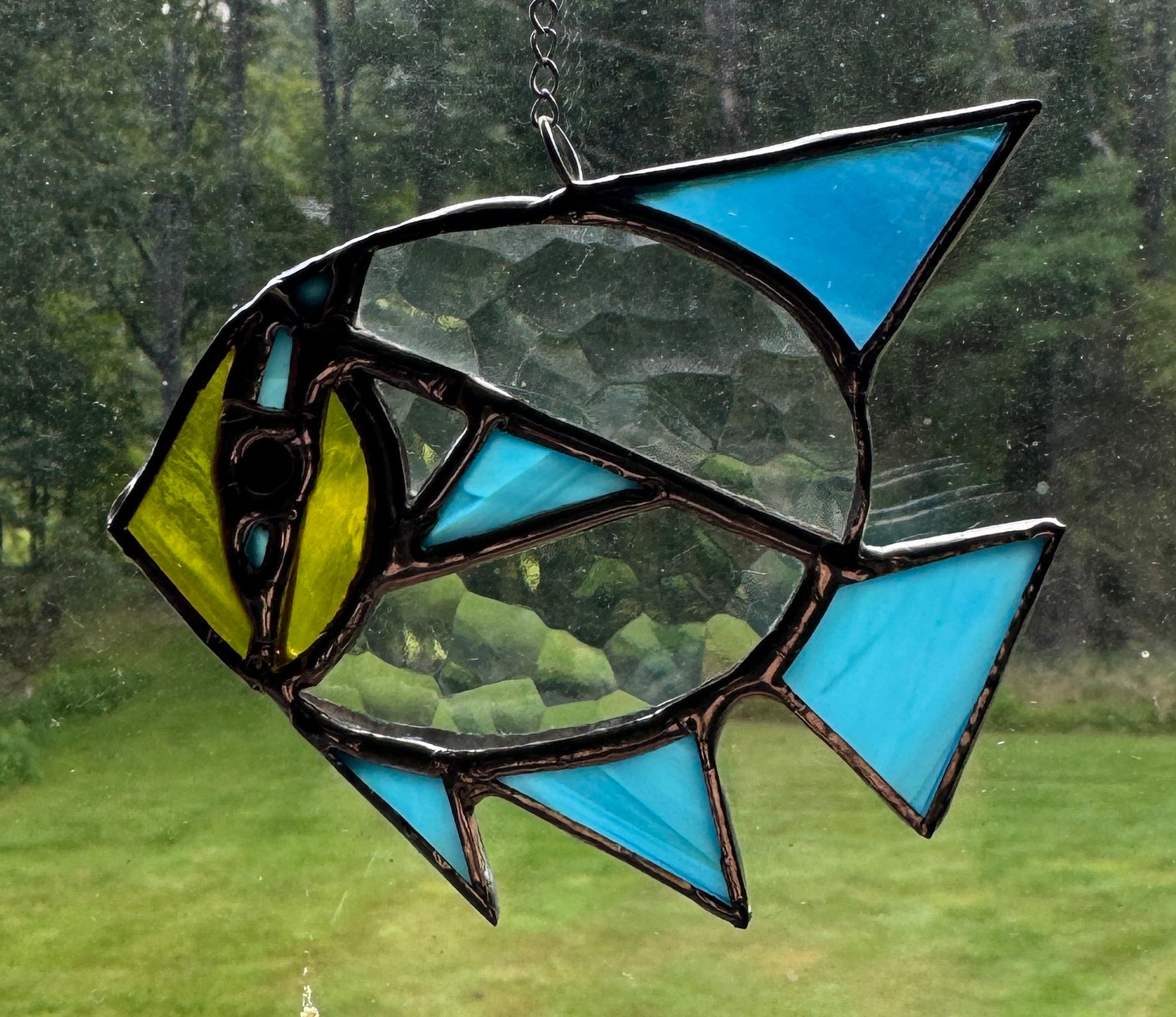 Fish