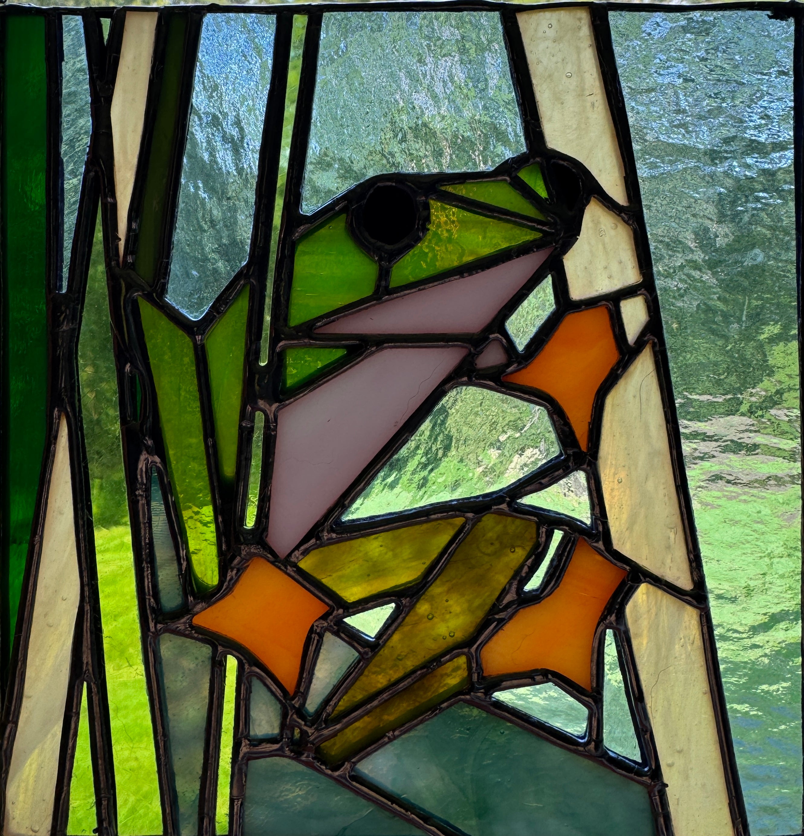 Frog