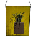 Air Plant and Stained Glass Holder