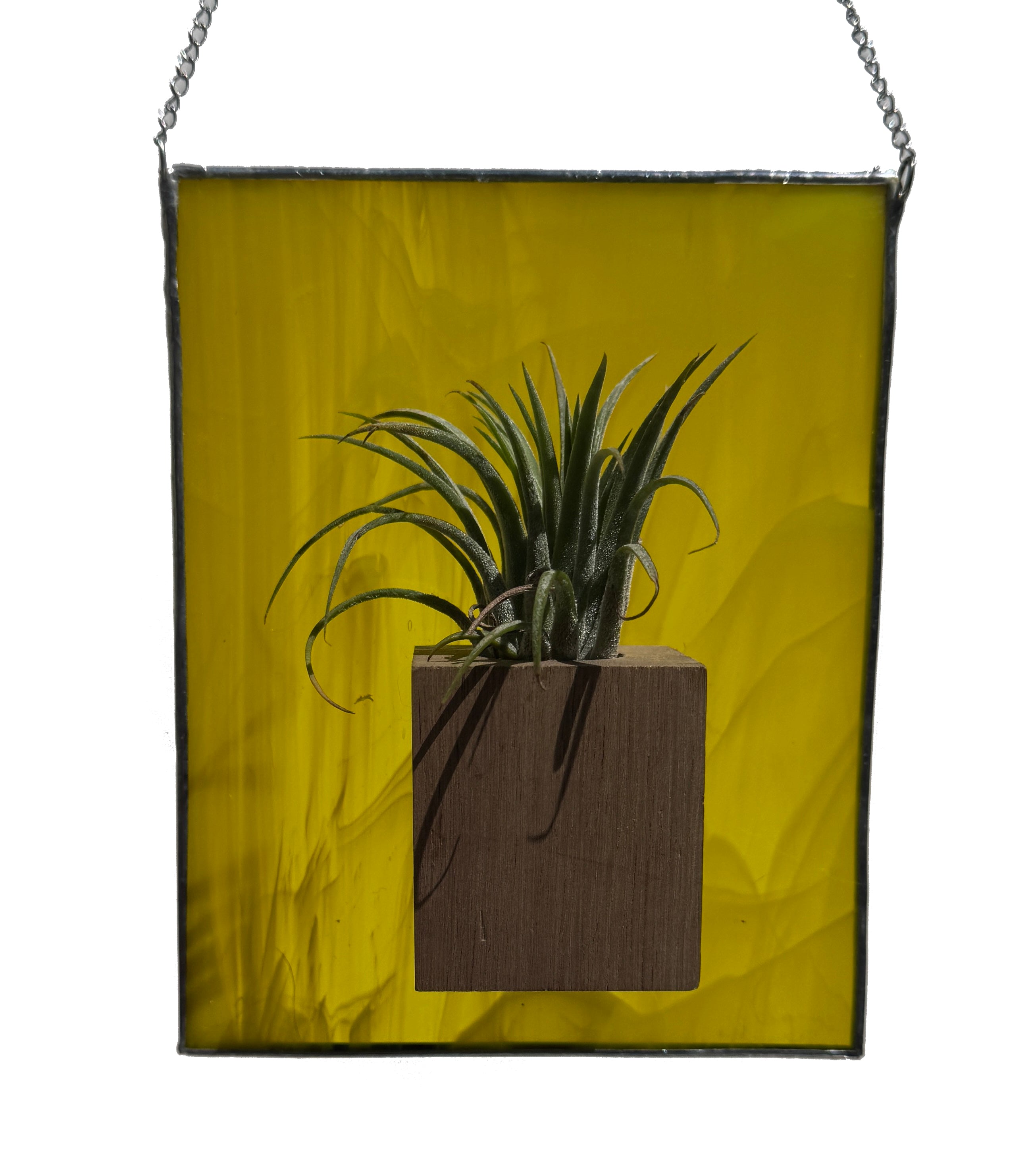 Air Plant and Stained Glass Holder
