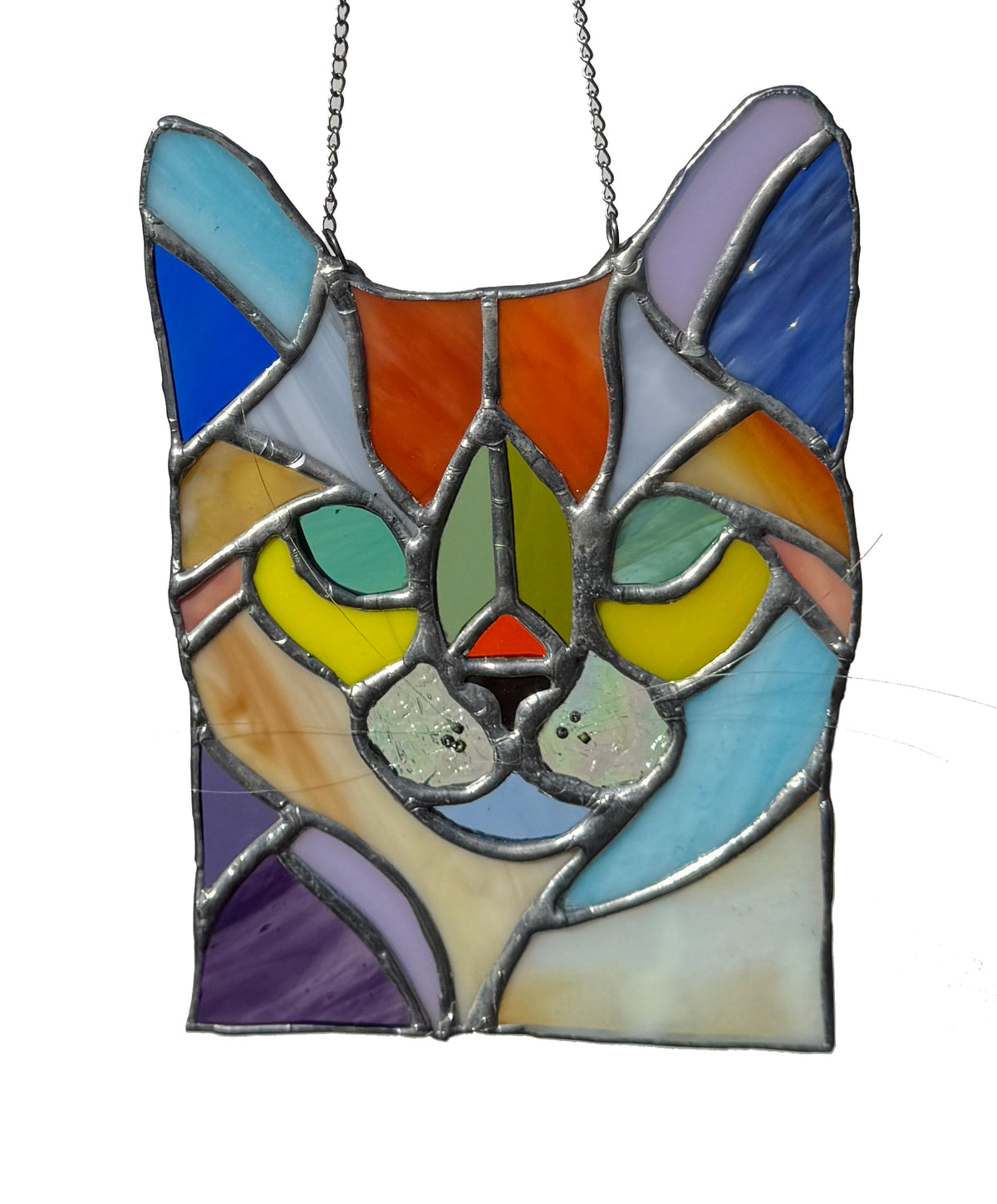 Kitty