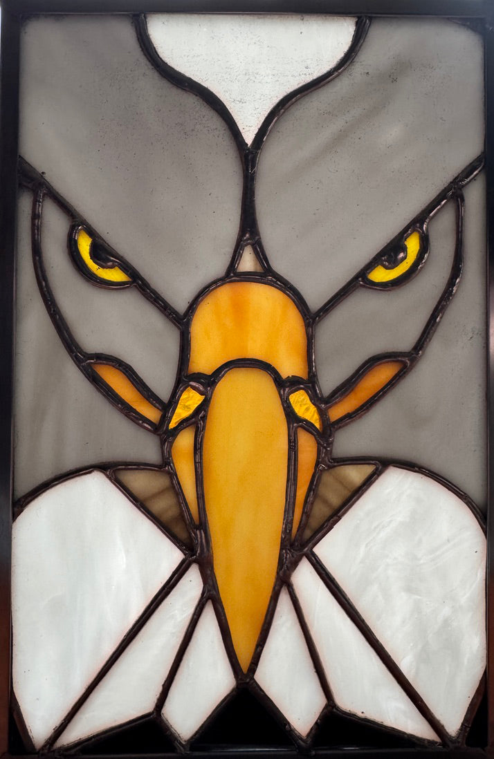 Eagle Face